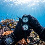 Padi Open water Course in sharmelseikh